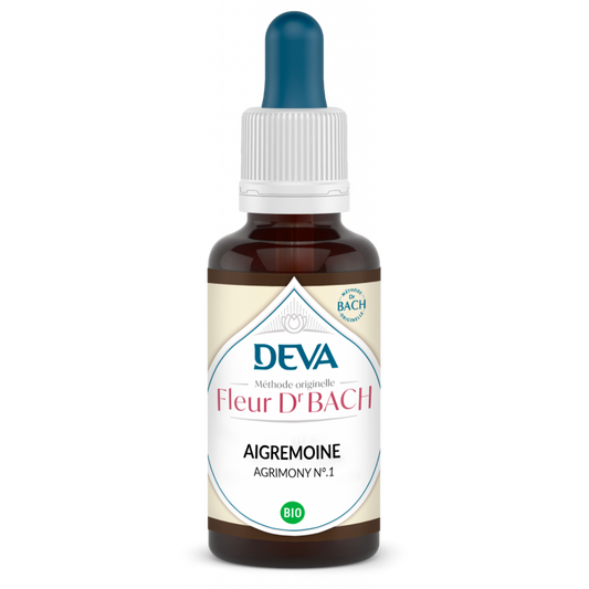 Aigremoine - Agrimony - Fleurs de Bach n°1 - Elixir Floral Deva