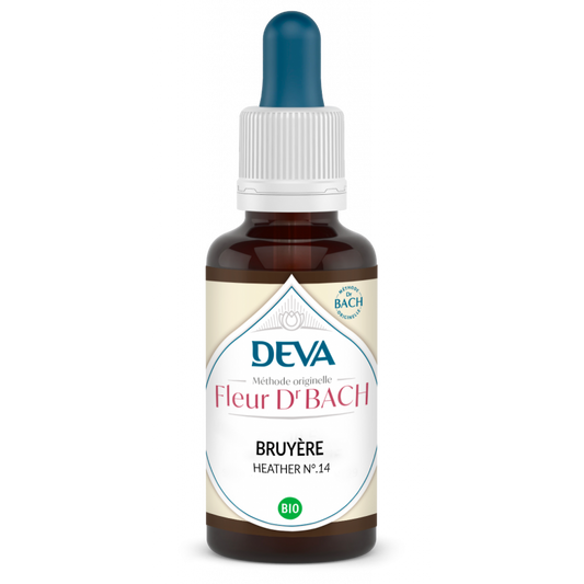 Bruyere - Heather - Fleurs de Bach n°14 - Elixir Floral Deva