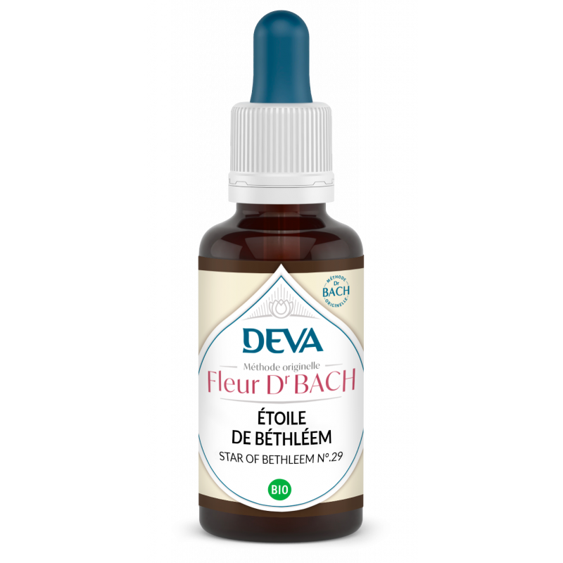 Etoile de Bethléem - Fleurs de Bach n°29 - Elixir Floral Deva