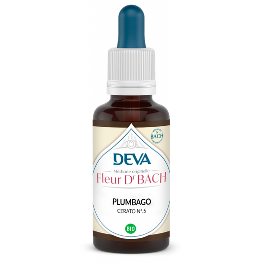 Plumbago - Cerato - Fleurs de Bach n°5 - Elixir Floral Deva